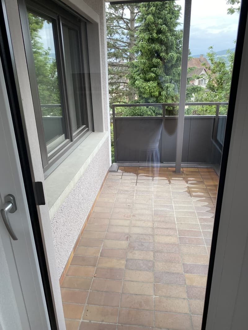 Nachmieter gesucht 3.5-Zimmer-Wohnung in Wädenswil (10)