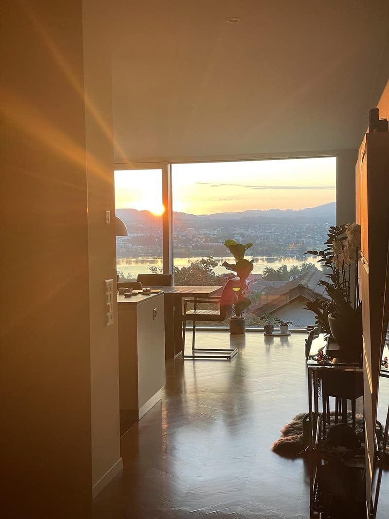 Exceptional 3.5-room apartment with panoramic Lake Greifensee views in Maur (6)