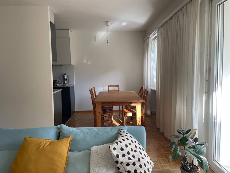 Rent a 2 ½ rooms apartment in Basel (7)