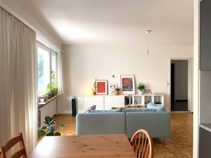 Rent a 2 ½ rooms apartment in Basel (1)