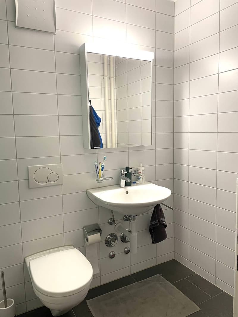 Rent a 2 ½ rooms apartment in Basel (4)