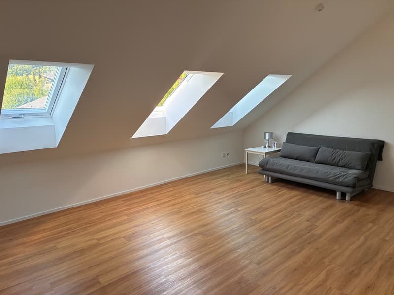Charmante 2.5 Zimmer-Dachwohnung in Hinteregg (3)