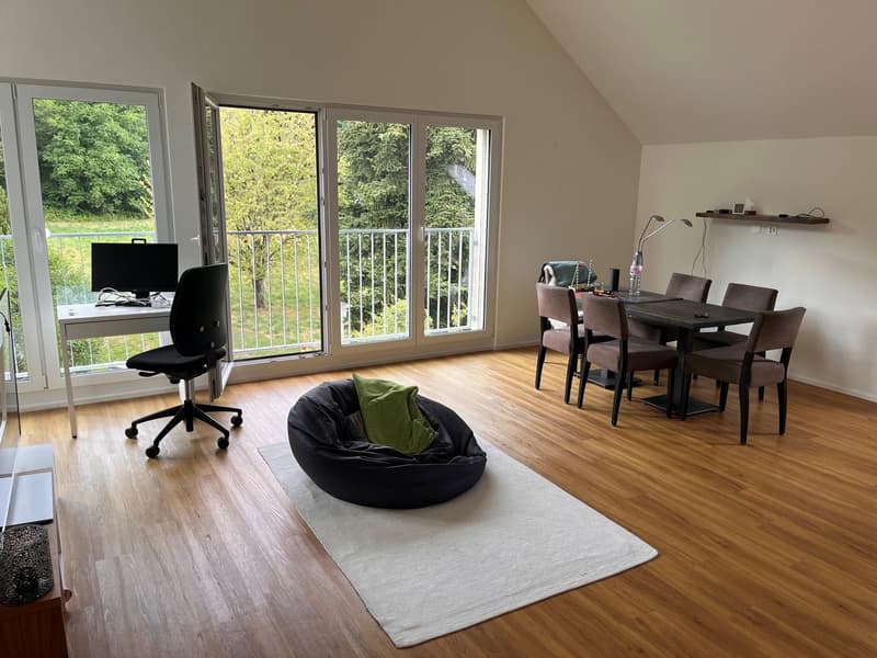 Charmante 2.5 Zimmer-Dachwohnung in Hinteregg (1)