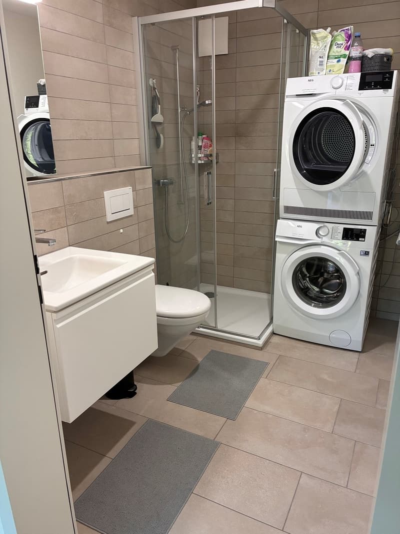Charmante 2.5 Zimmer-Dachwohnung in Hinteregg (4)