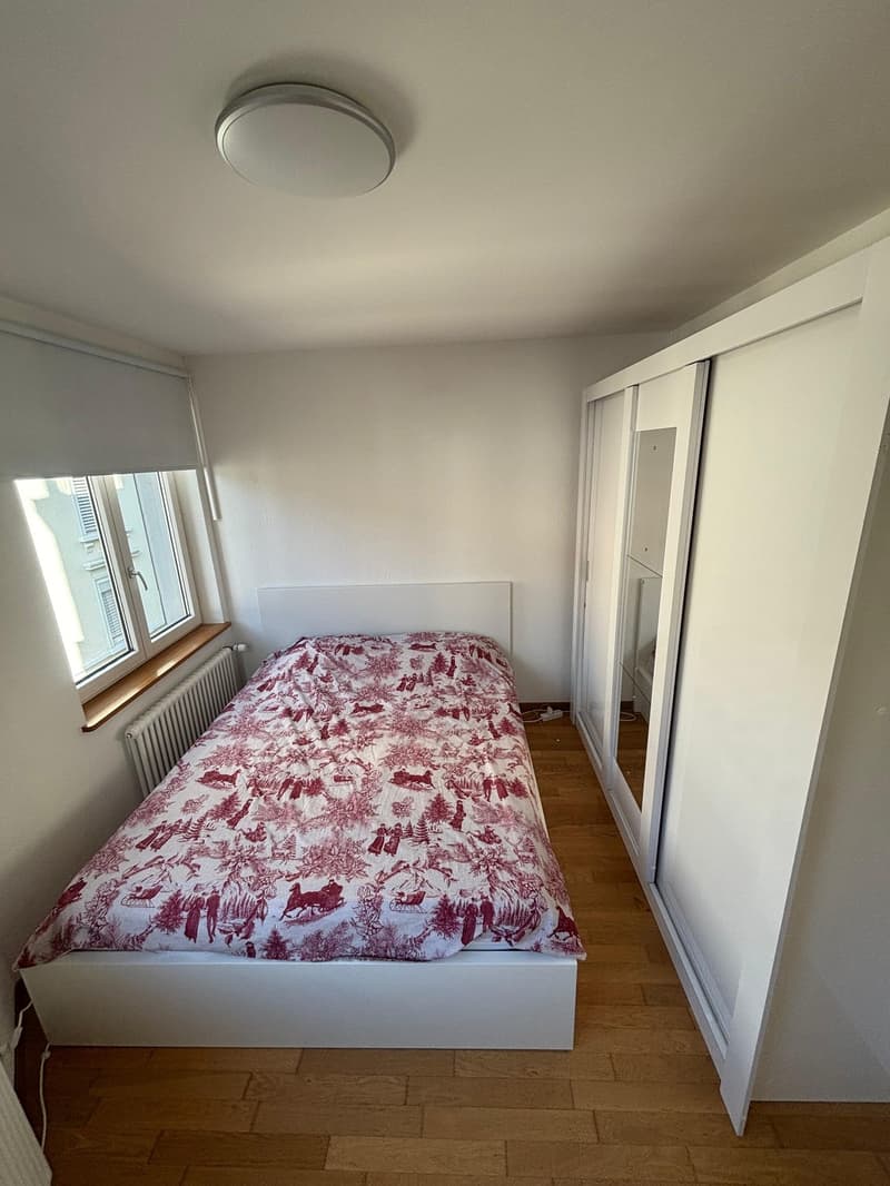 2.5 flat near Zurich HB (5)