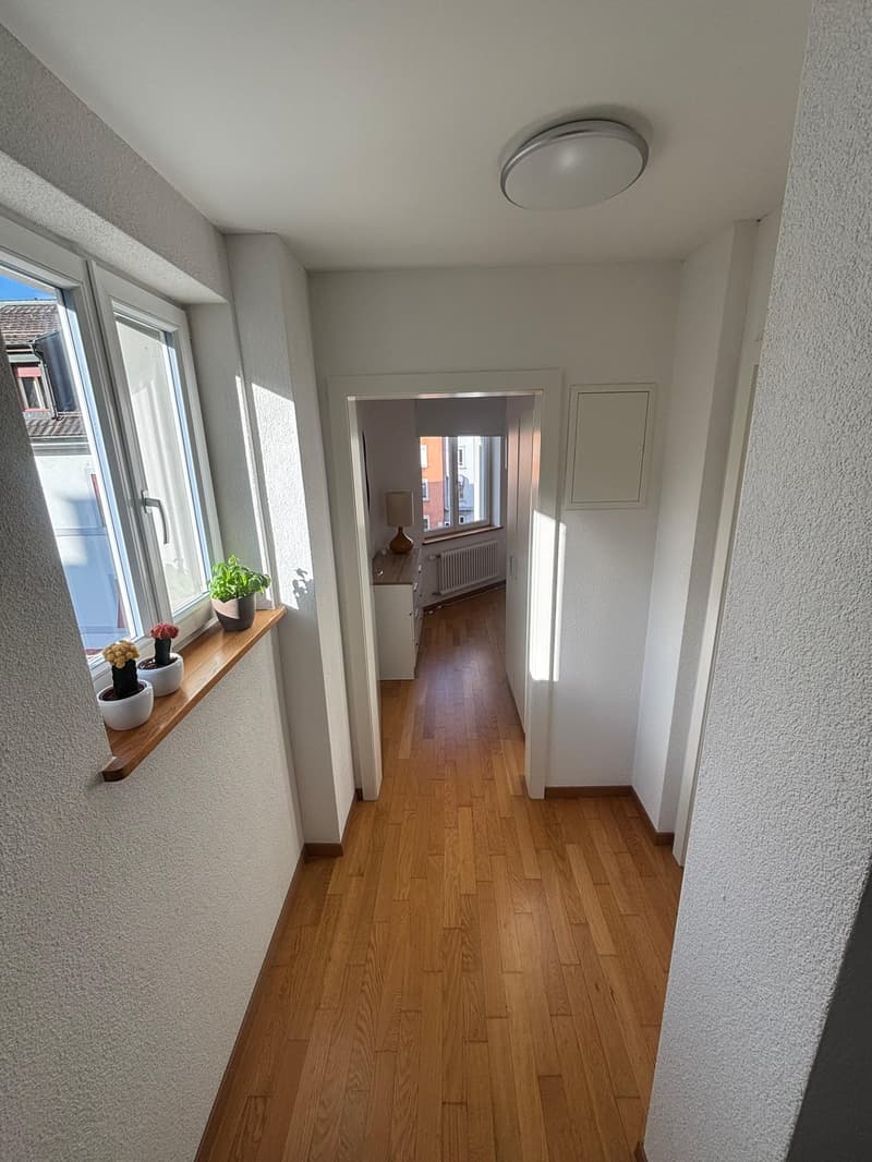 2.5 flat near Zurich HB (3)
