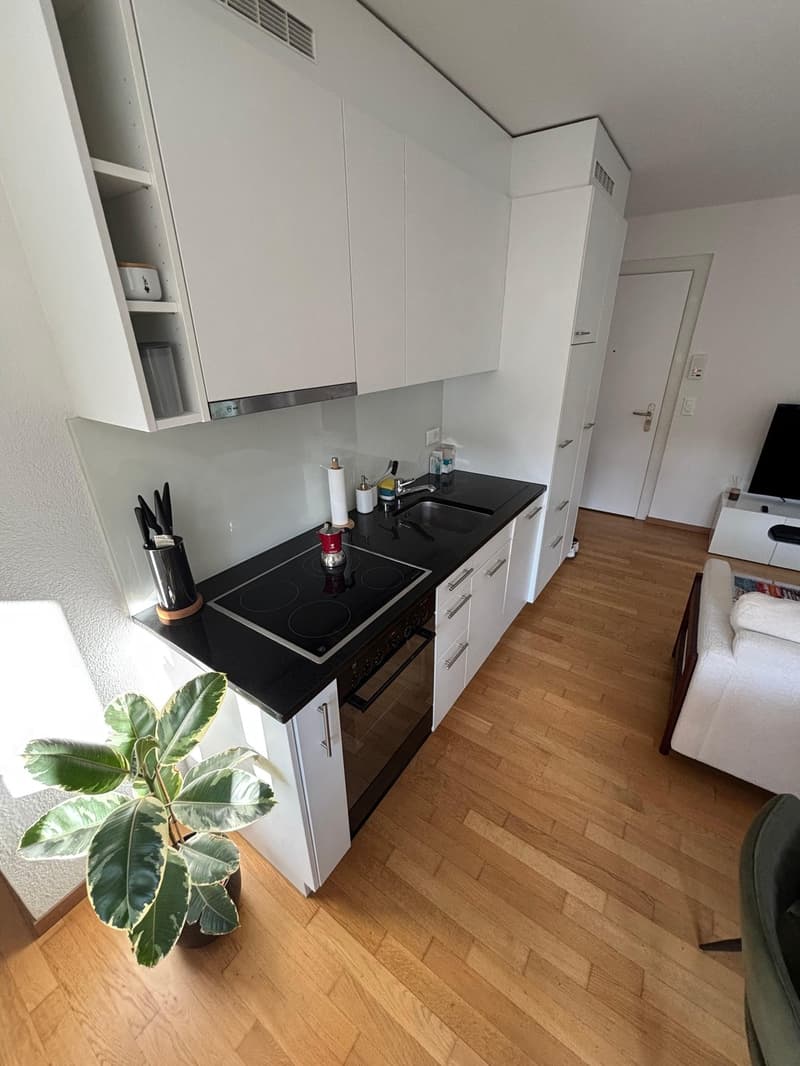 2.5 flat near Zurich HB (2)