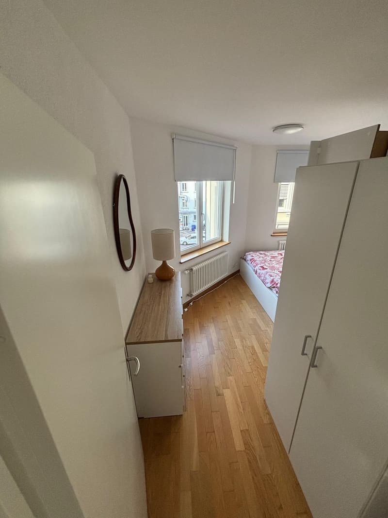2.5 flat near Zurich HB (4)