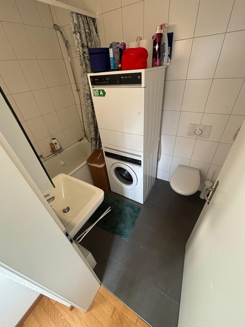 2.5 flat near Zurich HB (6)