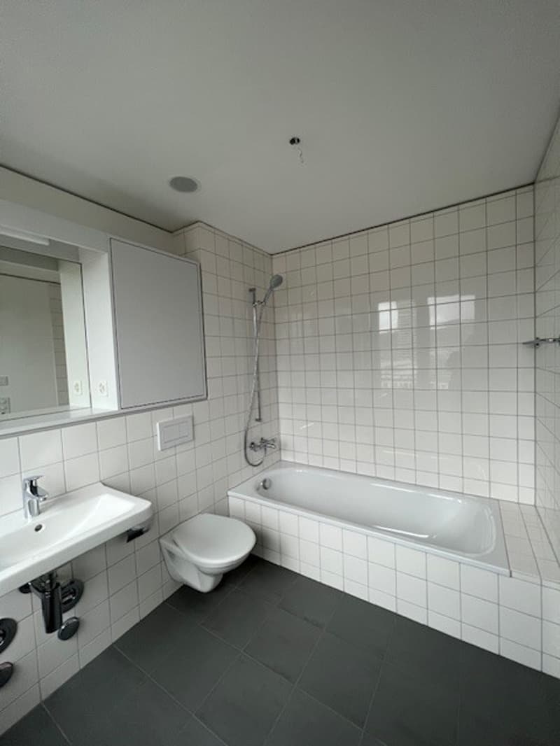 Moderne 3.5-Zimmer-Wohnung im 10. Stock mit Stadtblick in Zürich-Altstetten (5)