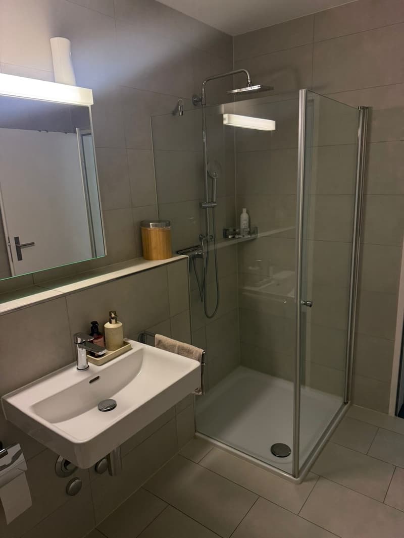 3.5-Zimmer-Wohnung im Erdgeschoss (7)
