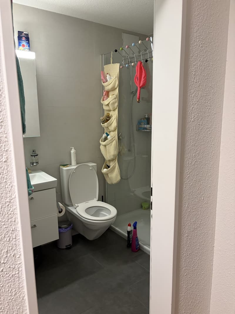 3 Zimmer-Wohnung, 6440 Brunnen (3)