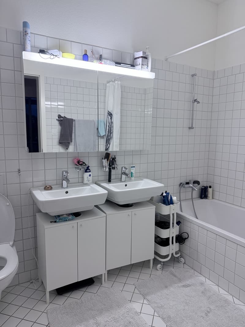 3½-Zimmer-Attikawohnung, ca. 112 m², frei ab 01.10.2026 (8)