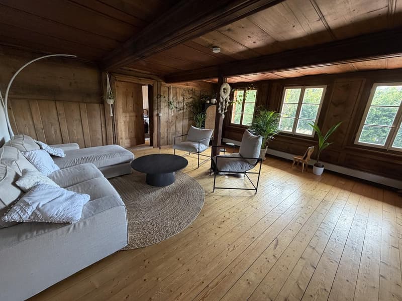 Charmante 4.5-Zimmer-Wohnung im renovierten Bauernhaus (2)