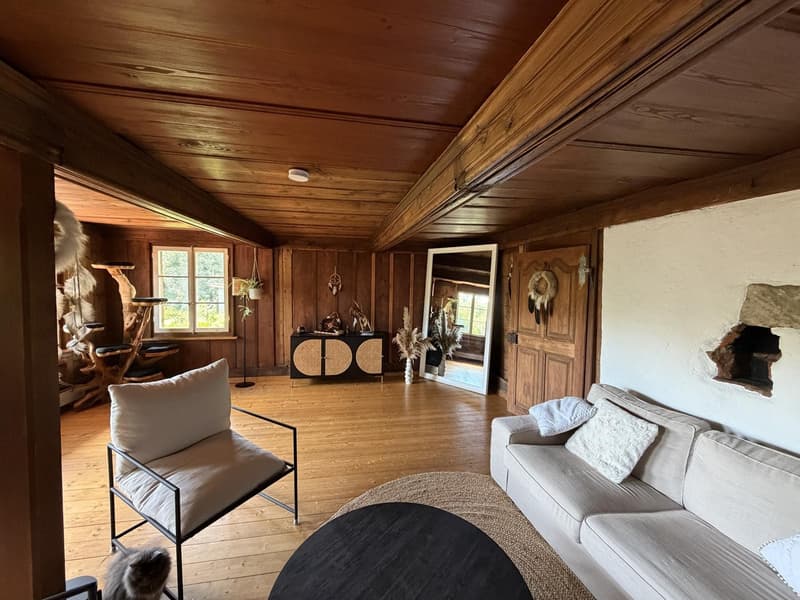 Charmante 4.5-Zimmer-Wohnung im renovierten Bauernhaus (3)