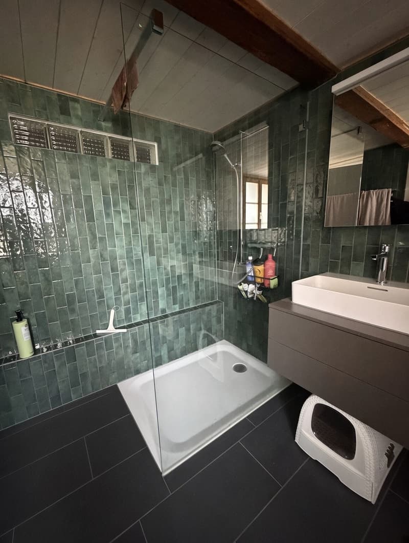 Charmante 4.5-Zimmer-Wohnung im renovierten Bauernhaus (7)