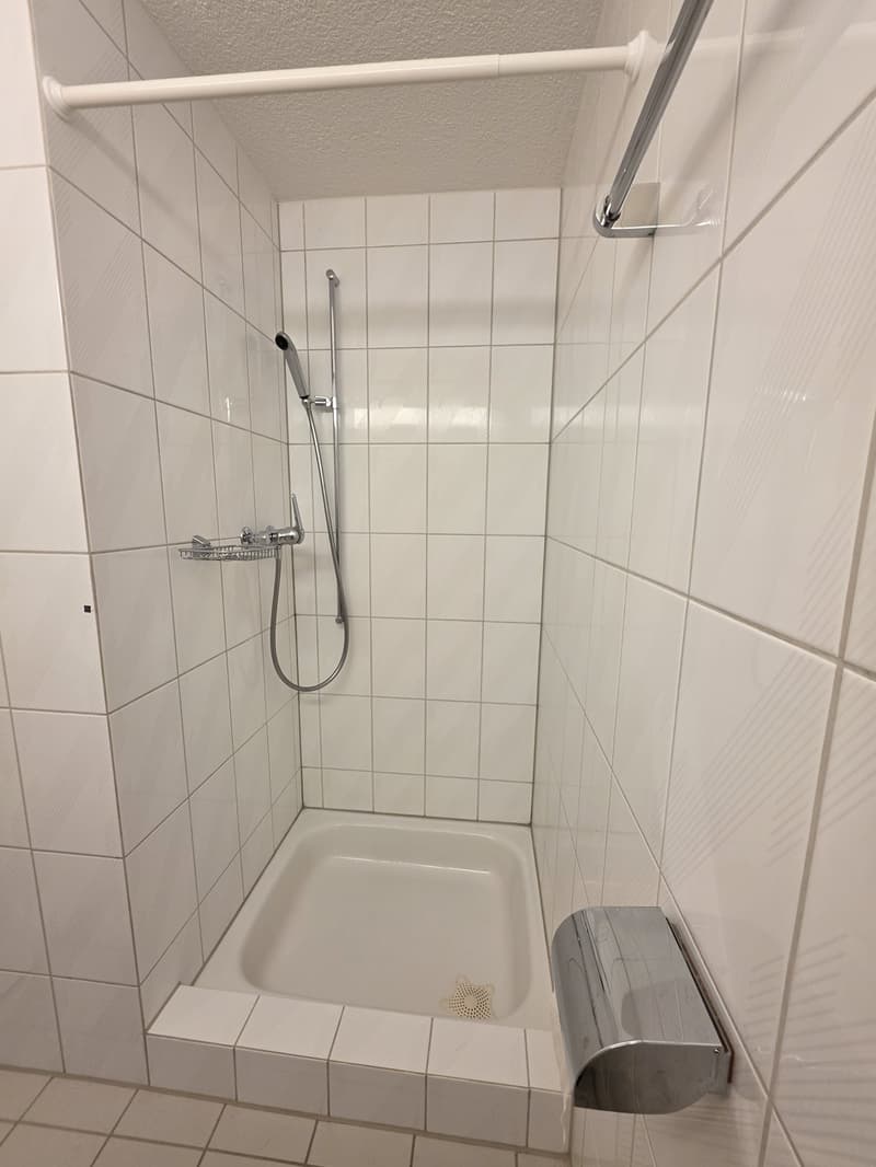Helle 3.5-Zimmer-Wohnung in Zürich-Leimbach (9)