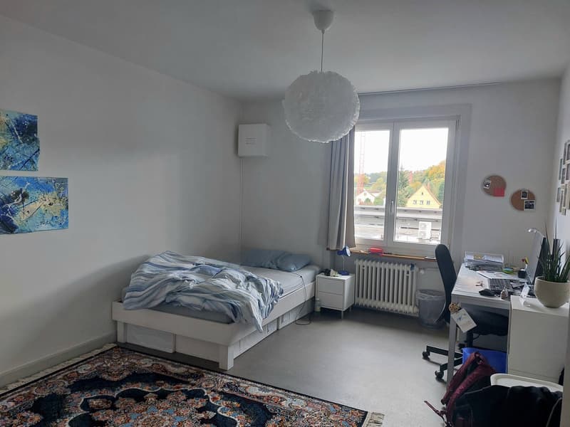 Nachmieter/in gesucht 2-Zimmerwohnung in Effretikon (2)