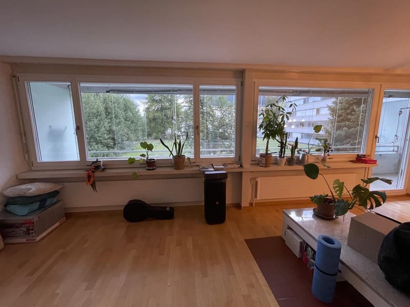 4.5-Zimmer-Wohnung mit grossem Balkon und Cheminee (4)
