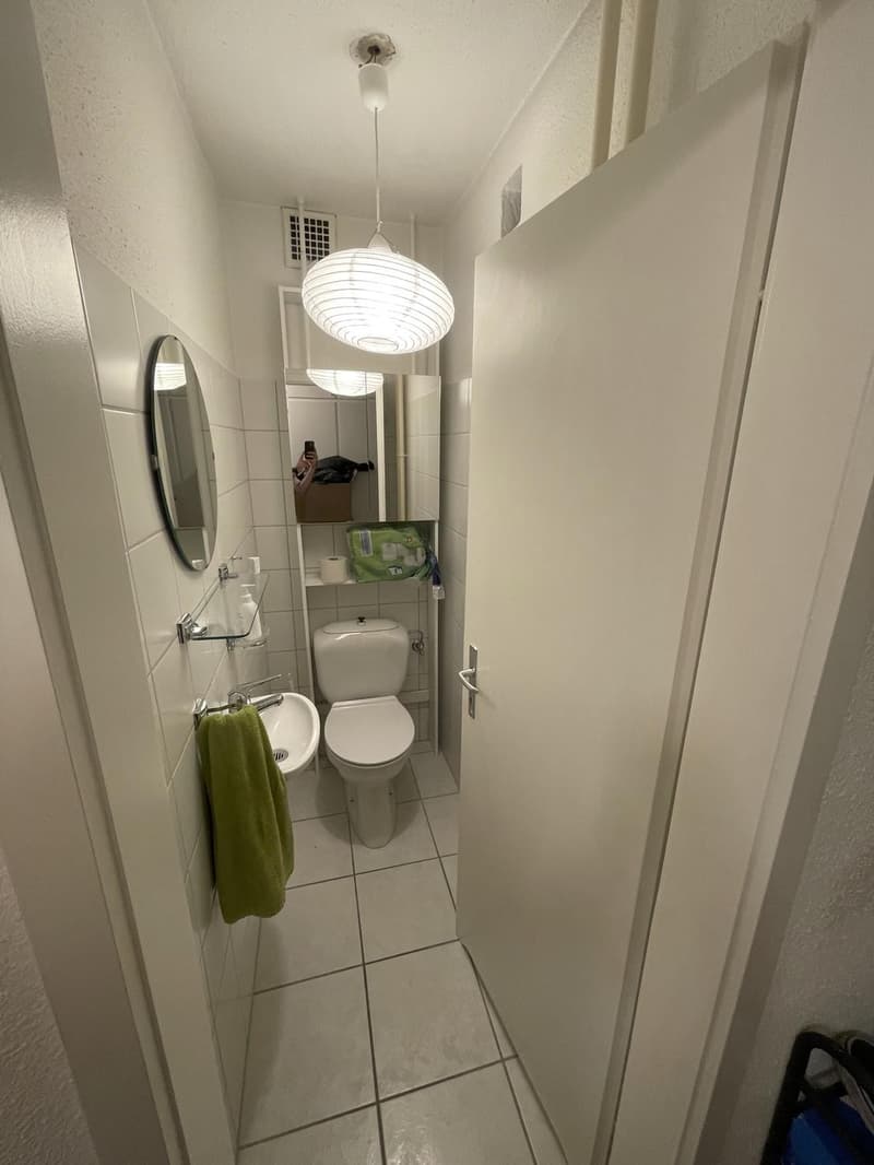 4.5-Zimmer-Wohnung mit grossem Balkon und Cheminee (8)