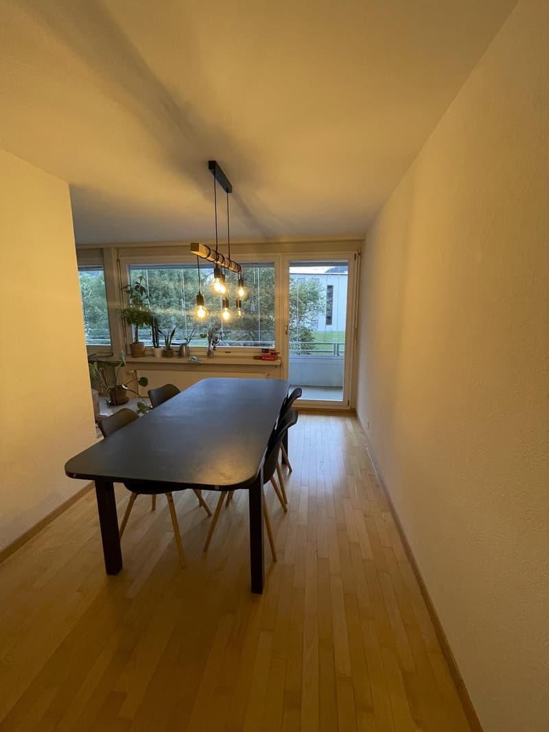 4.5-Zimmer-Wohnung mit grossem Balkon und Cheminee (6)