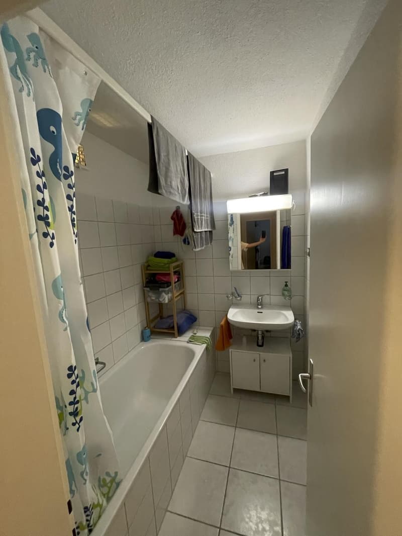 4.5-Zimmer-Wohnung mit grossem Balkon und Cheminee (9)
