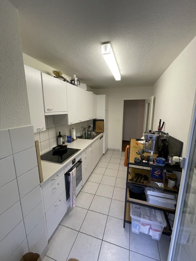 4.5-Zimmer-Wohnung mit grossem Balkon und Cheminee (7)