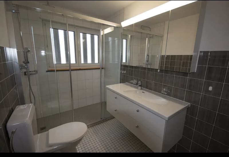 3.5-Zimmer Wohnung, Eigentumstandard (7)