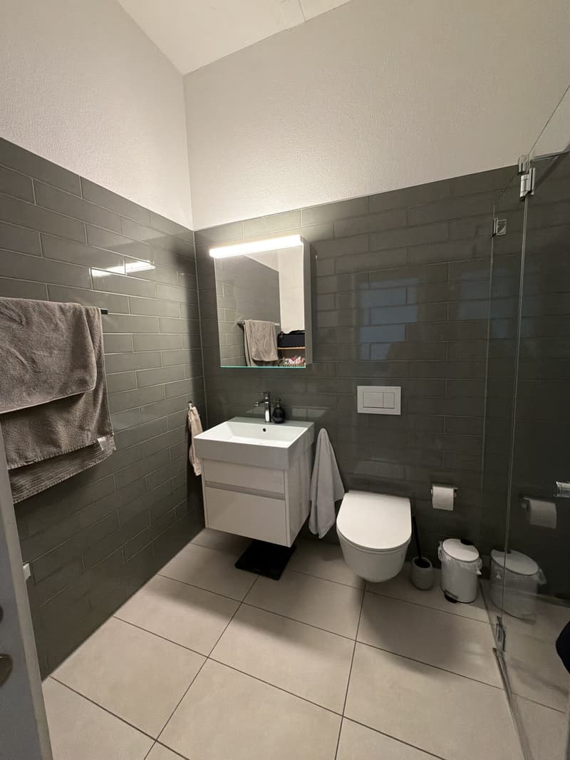 Moderne 3.5-Zimmer-Wohnung mit grosser Loggia in Zürich Oerlikon (6)