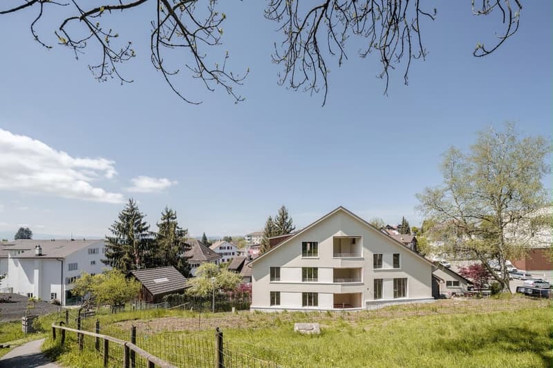 Moderne 3.5-Zimmer-Attika-Wohnung im Herzen von Hinwil-Hadlikon (3)