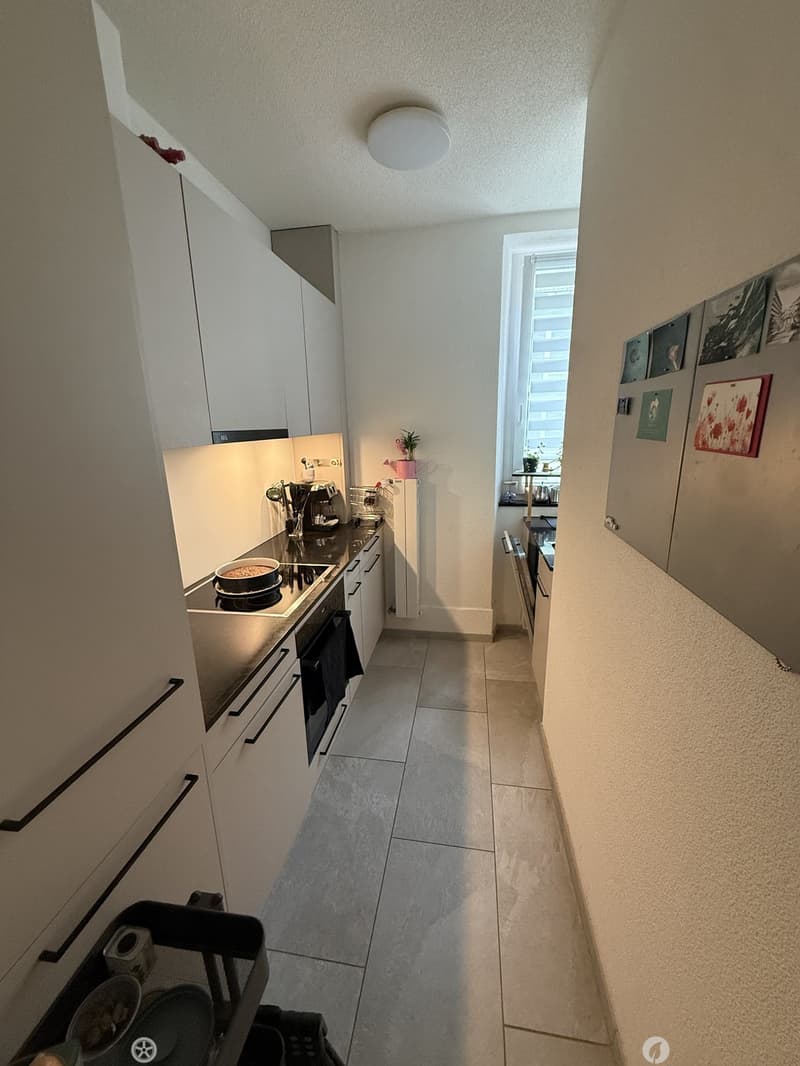 Befristete, möblierte 3-Zimmer-Gartenwohnung im Erdgeschoss, Biel/Bienne (6)
