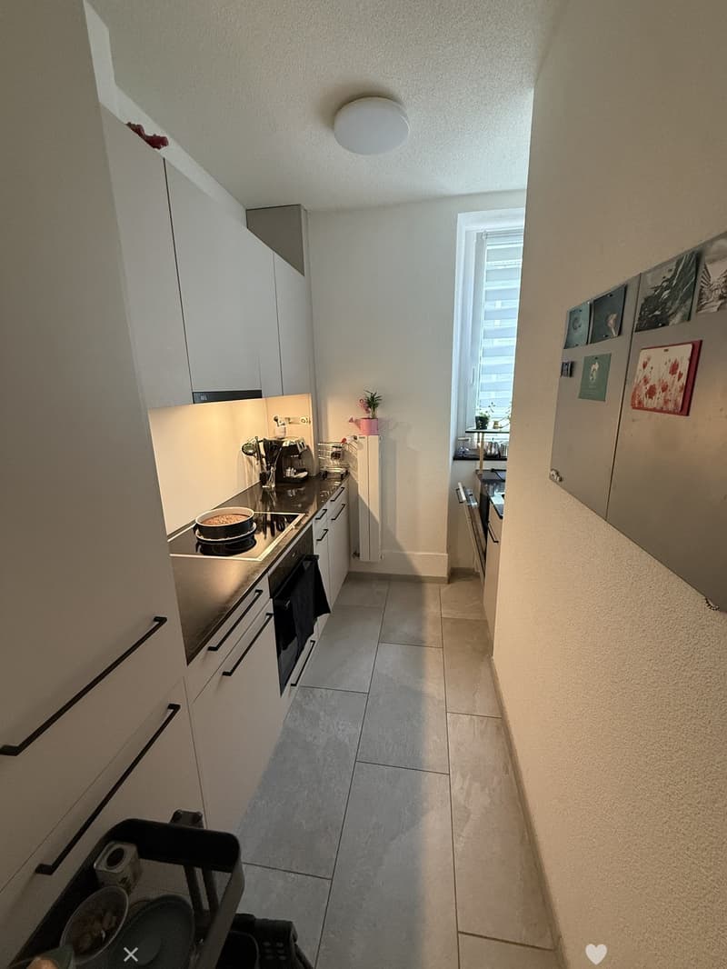 Befristete, möblierte 3-Zimmer-Gartenwohnung im Erdgeschoss, Biel/Bienne (6)