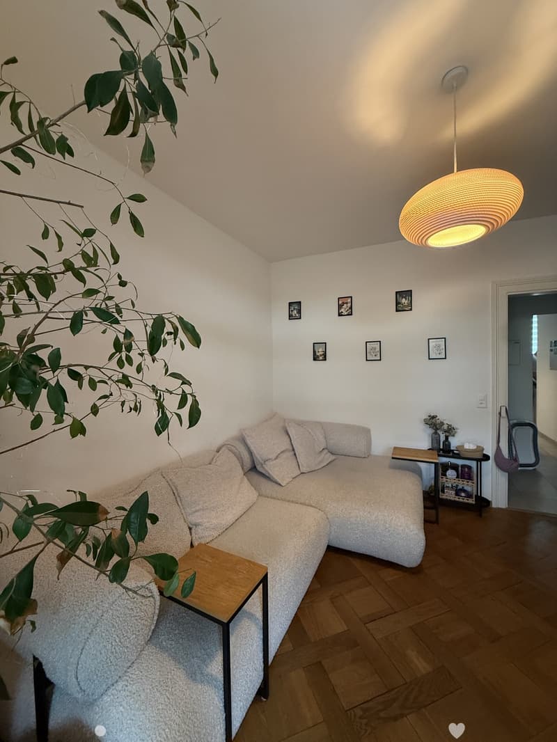 Befristete, möblierte 3-Zimmer-Gartenwohnung im Erdgeschoss, Biel/Bienne (1)