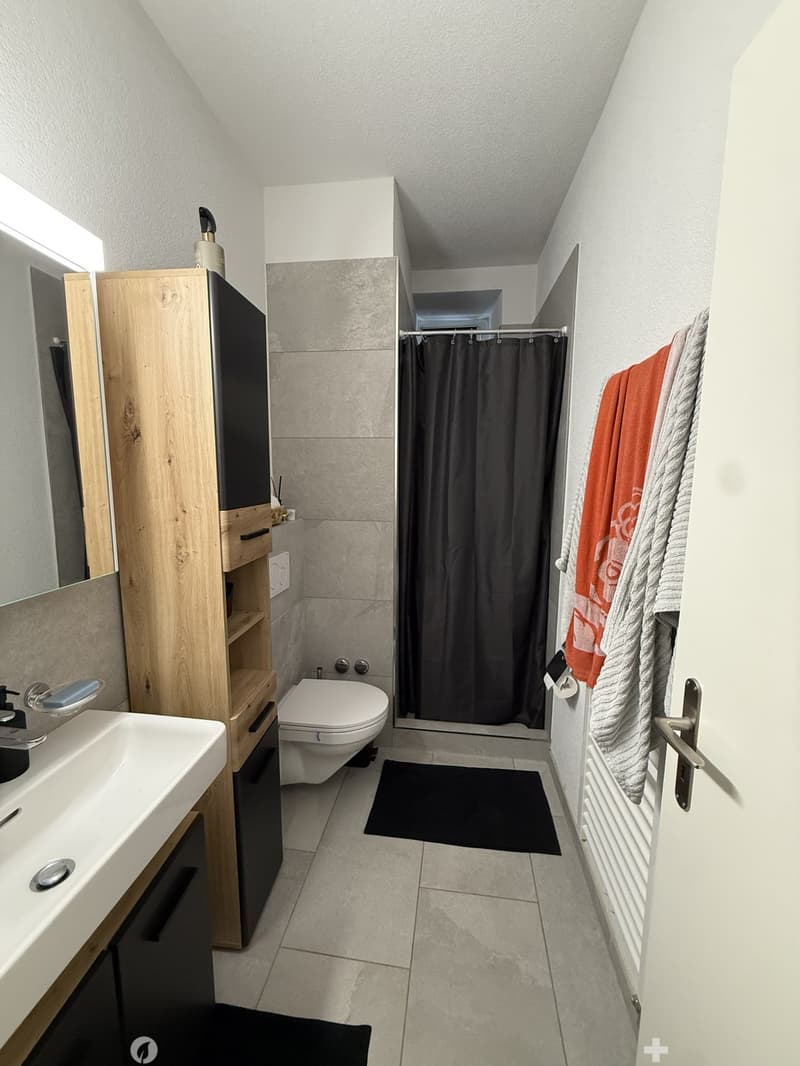 Befristete, möblierte 3-Zimmer-Gartenwohnung im Erdgeschoss, Biel/Bienne (4)
