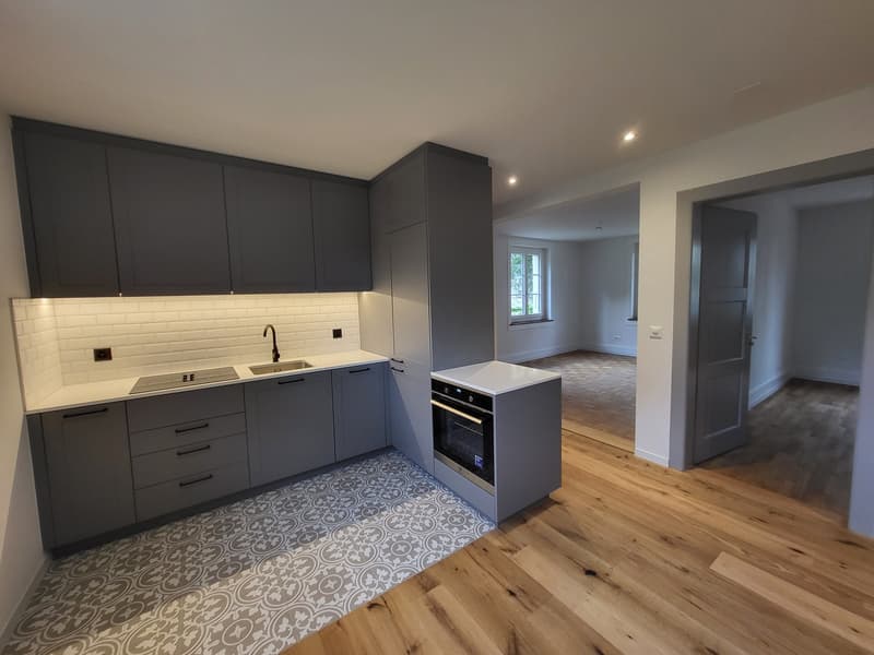 Zentrale Wohnung in ruhiger Lage (15min zum Bahnhof Bern) (1)