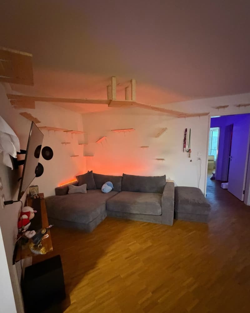 3 ½ Zimmer-Wohnung, 6208 Oberkirch (3)