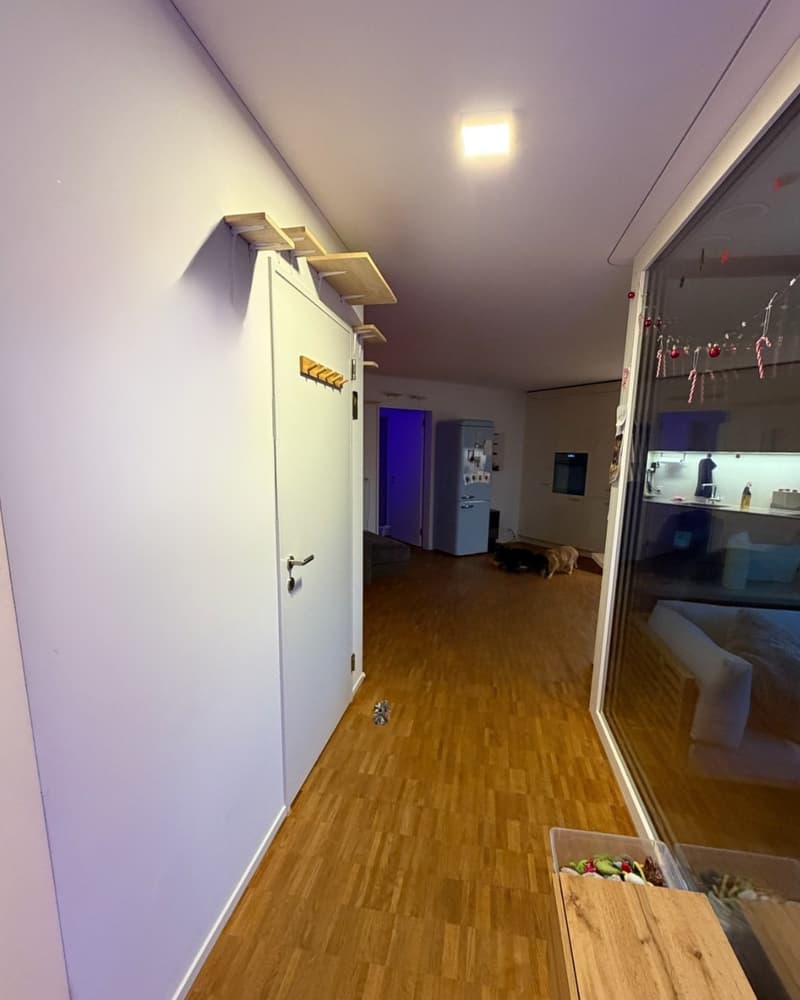 3 ½ Zimmer-Wohnung, 6208 Oberkirch (6)