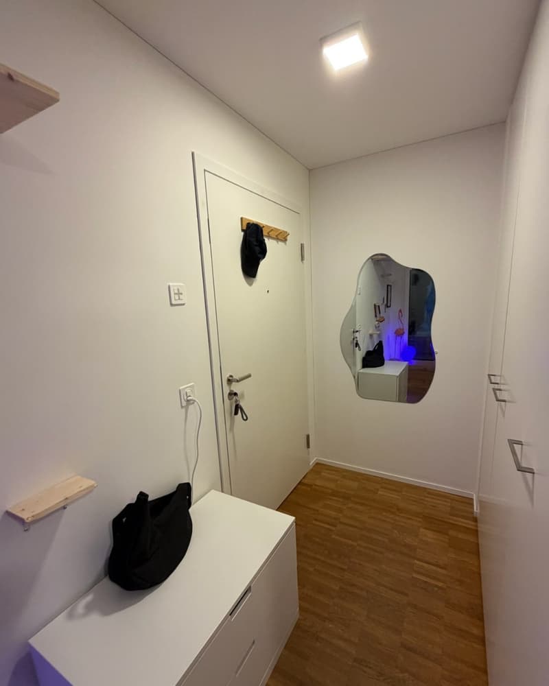 3 ½ Zimmer-Wohnung, 6208 Oberkirch (4)