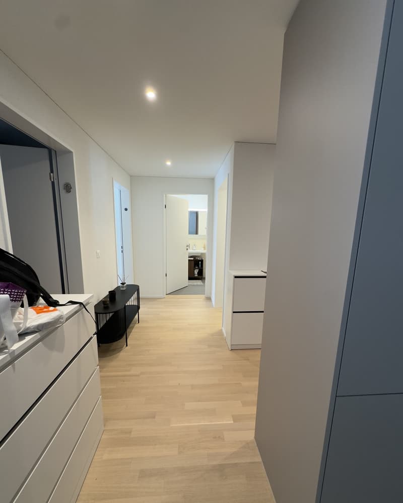 3.5-Zimmer-Wohnung in Dübendorf, 81 m² (5)