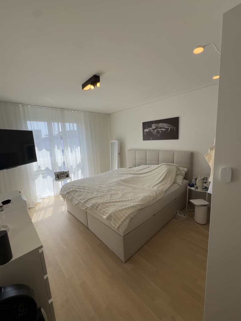 3.5-Zimmer-Wohnung in Dübendorf, 81 m² (7)
