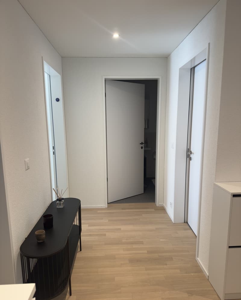 3.5-Zimmer-Wohnung in Dübendorf, 81 m² (13)