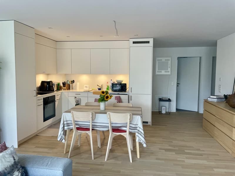 Moderne 3.5-Zimmer-Wohnung mit Balkon und schöner Aussicht in Zürich-Albisrieden (2)