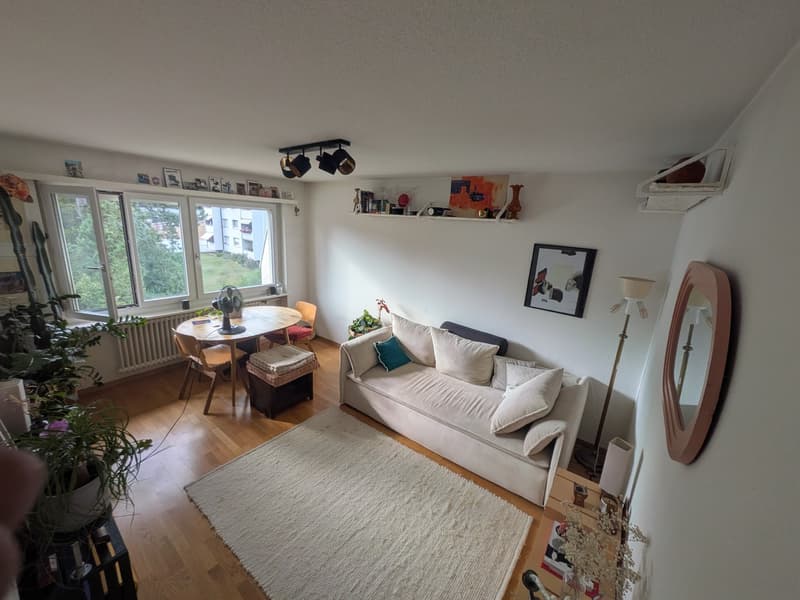 2.5 Wohnung, Available in October, Eichelwiesenstrasse 8305 (2)
