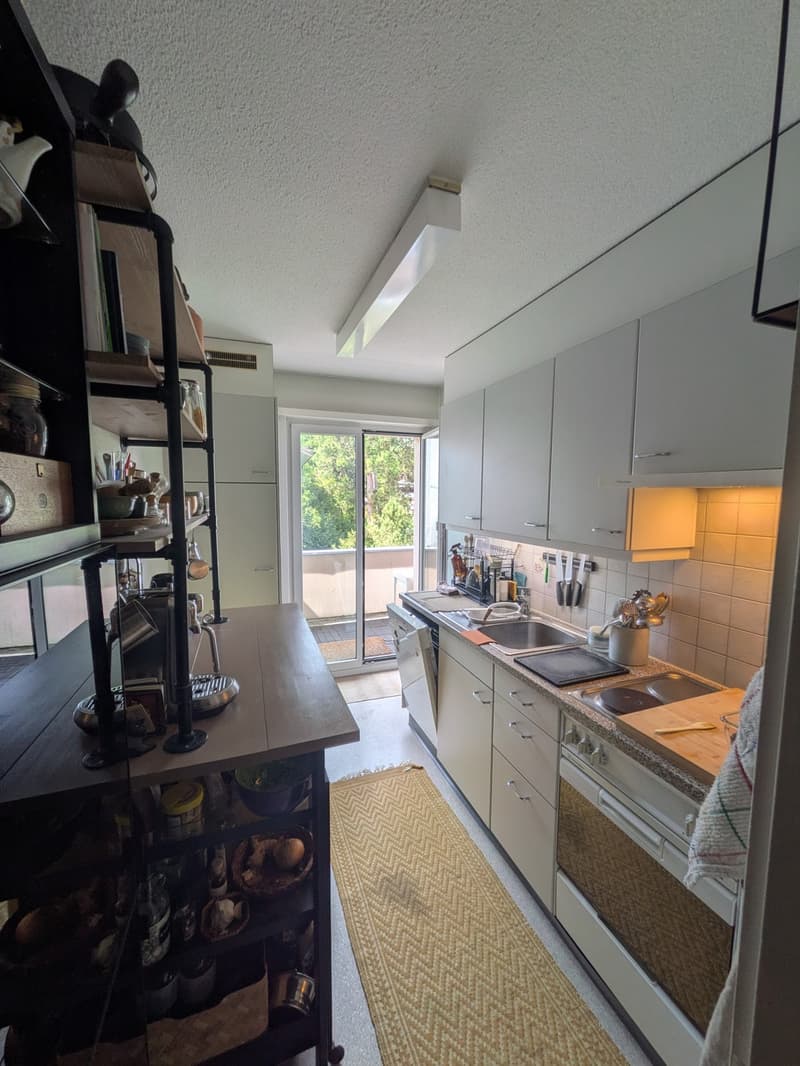 2.5 Wohnung, Available in October, Eichelwiesenstrasse 8305 (3)