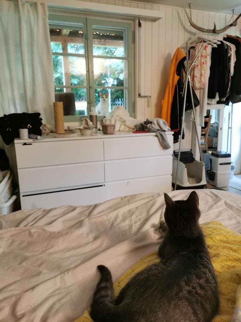 Geräumiges Zimmer in 3er WG zu vermieten (2)