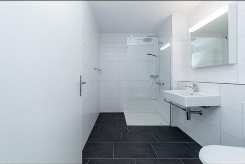 Wohnung - modern, hell und in ländlicher Umgebung (4)