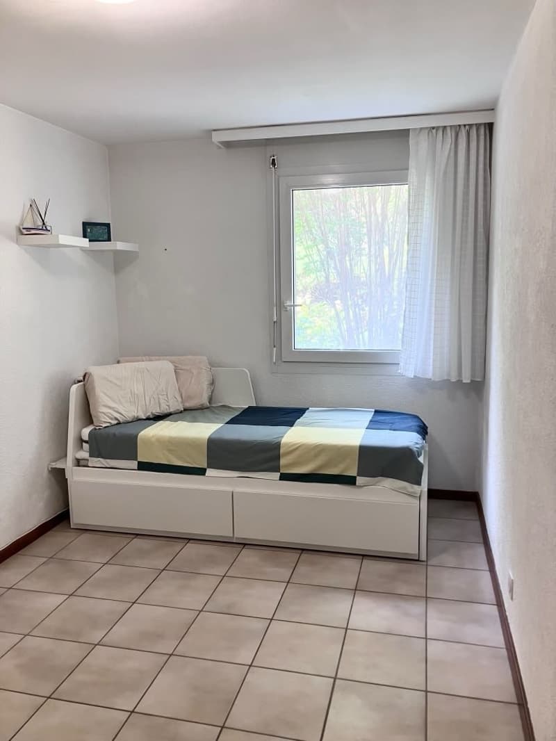 Lease Takeover for Terrace Apartment adjacent to Lac Leman (10)
