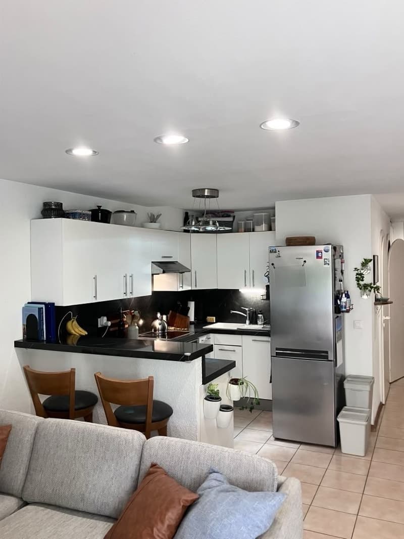 Lease Takeover for Terrace Apartment adjacent to Lac Leman (8)