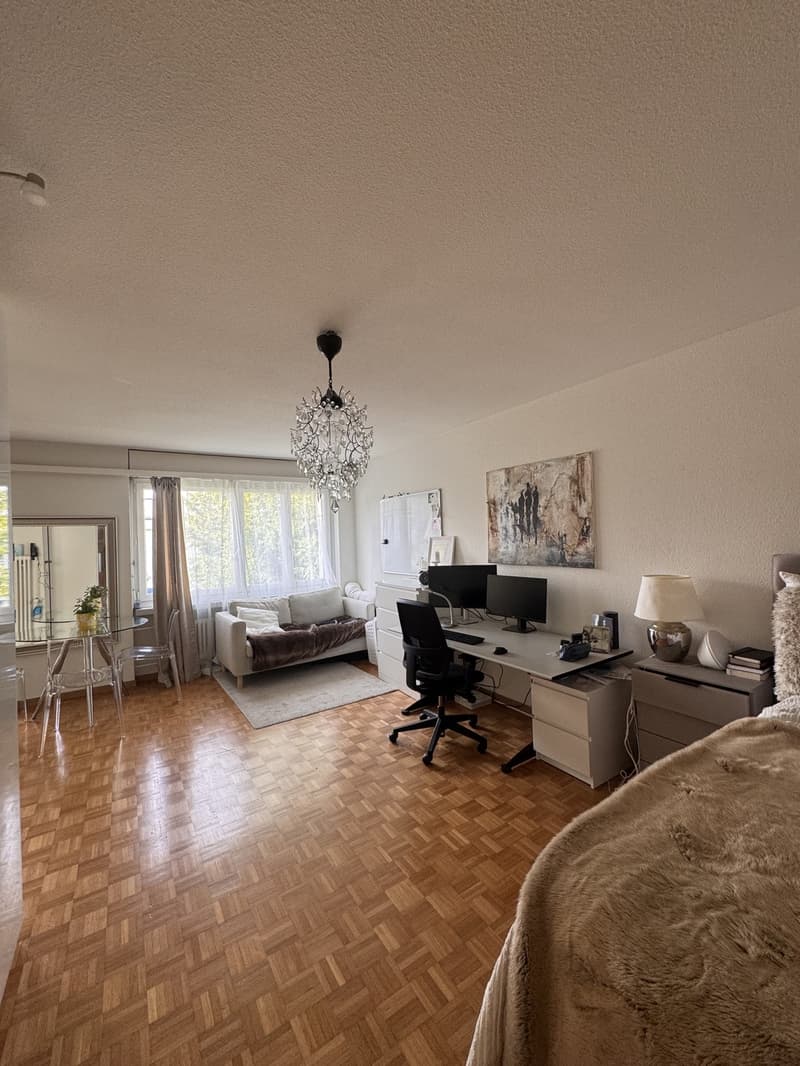Helle, renovierte 1.5-Zimmer-Wohnung in Zürich-Affoltern (1)