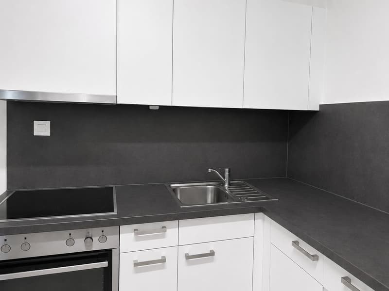 2,5 Zimmerwohnung (4)